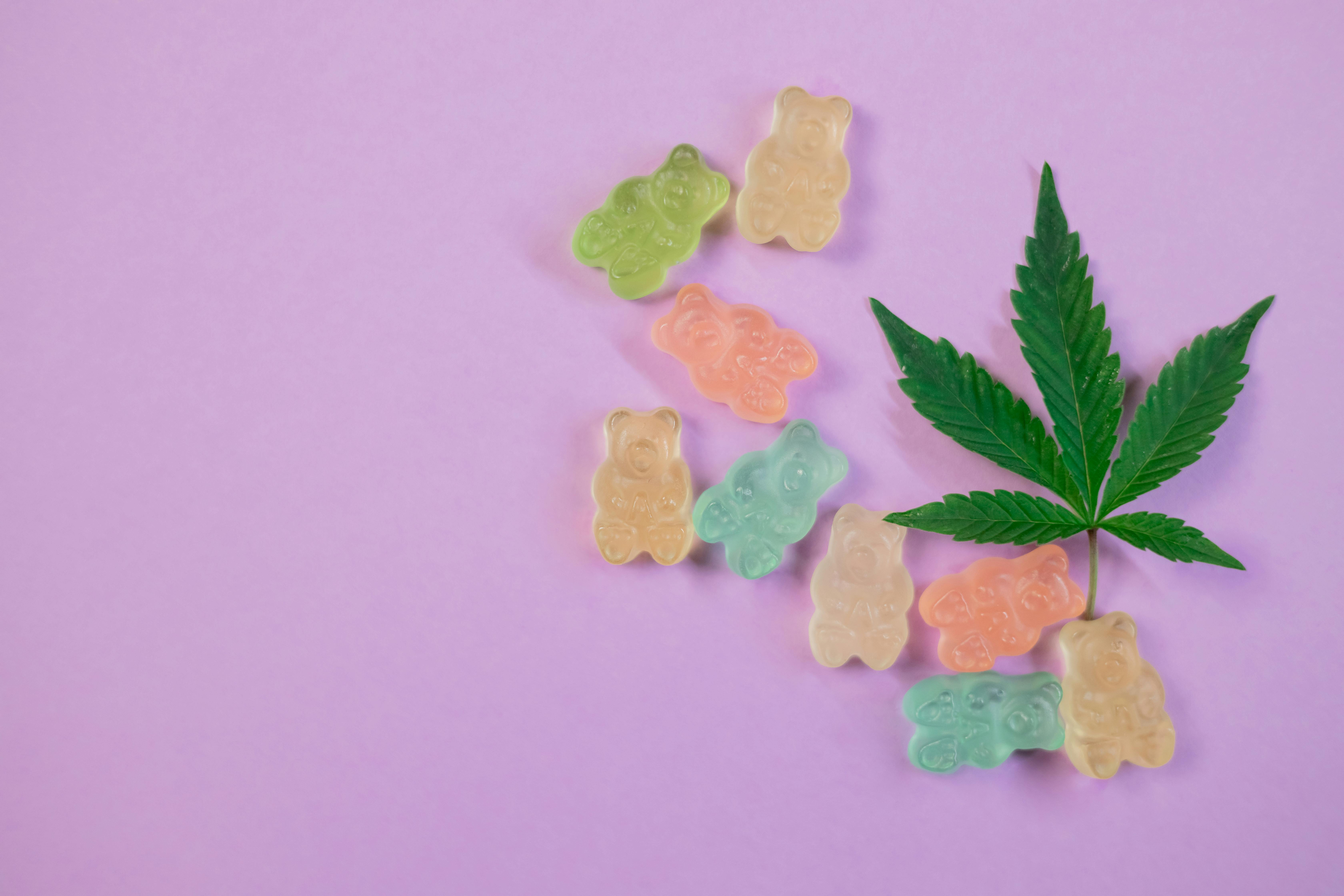 THE ART OF EDIBLES: FROM SWEET TREATS TO SAVORY BITES