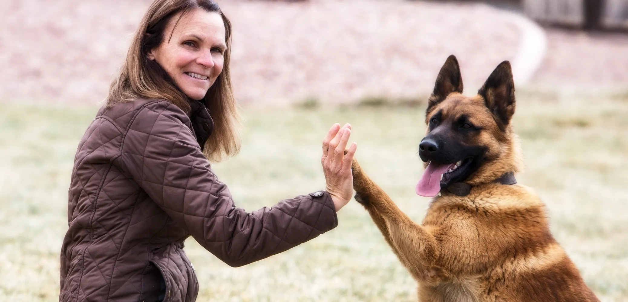 Mastering Canine Scent Detection Training: Expert Tips from Rob’s Dog Training